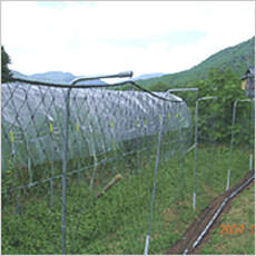 猿害防止電気柵　モンキーショック