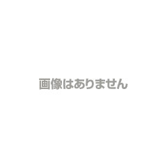 ソフトテニスネット(日本ソフトテニス連盟公認検定1号) TN-22-5061